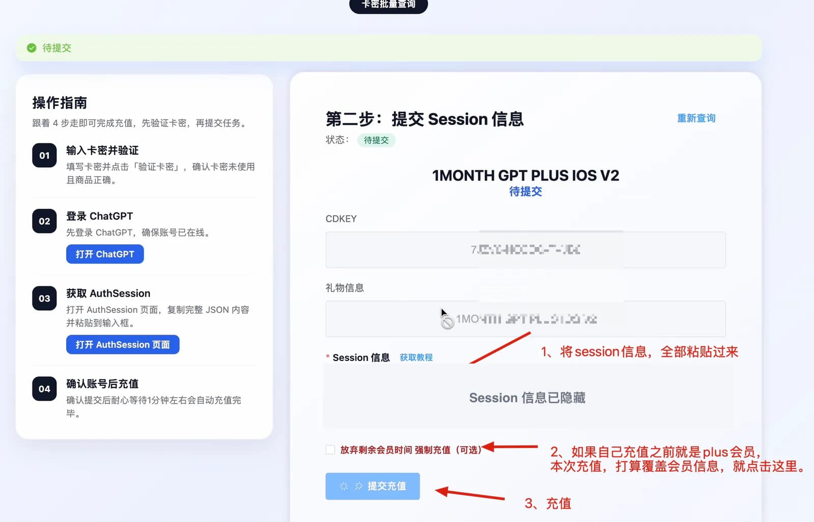 粘贴完整 Session 信息并提交 AI 会员充值