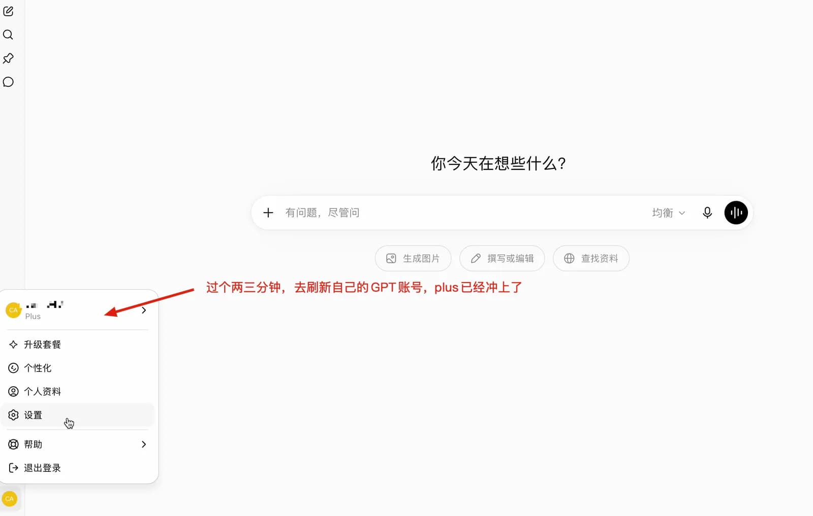 以 ChatGPT 为例等待两三分钟后刷新对应账号确认会员到账